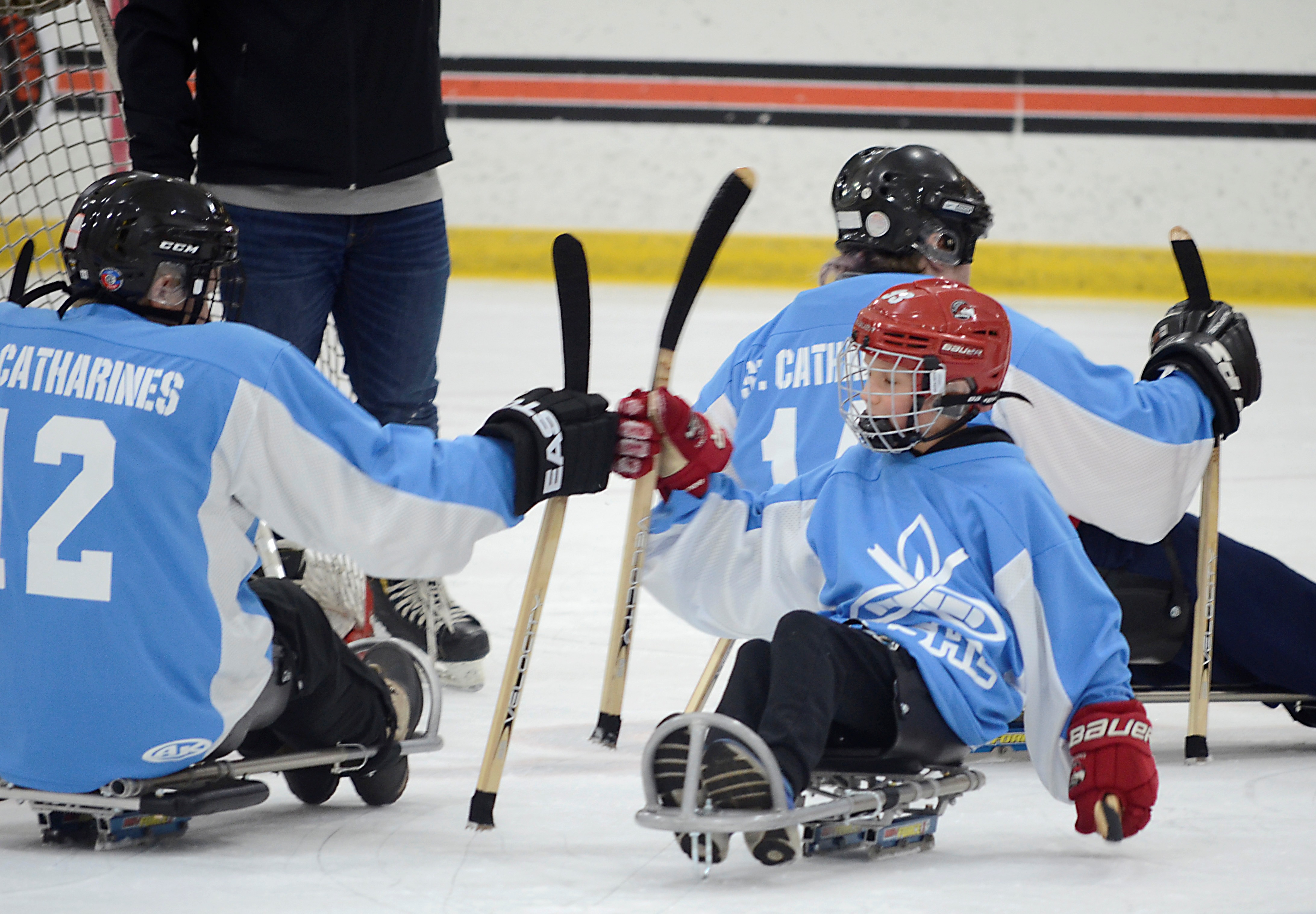 Para Ice Hockey Player