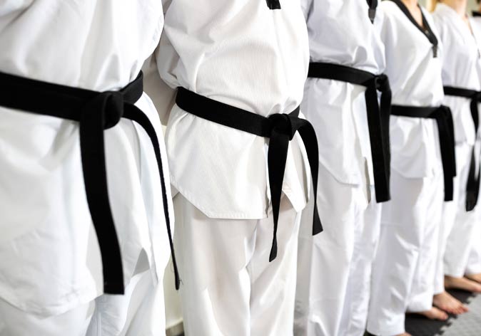 Adaptive Karate (Wednesdays)